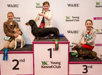 Crufts prize for schoolgirl