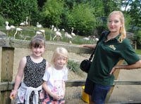 Birdworld embarks on a Summer of Fun events