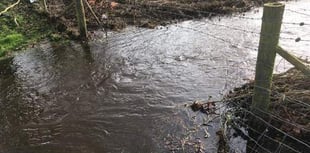 Storm Dennis increases flooding risk in River Wey valley