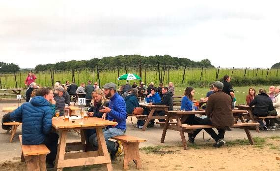 Hogs Back Brewery opens pub garden after successful trial run