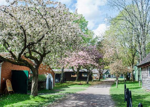 Tilford museum to host Surrey Hills Spring Festival this weekend