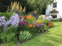 Binsted Place to open garden gates this September in aid of church