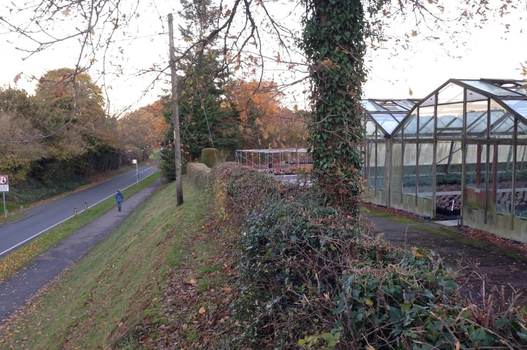 Liss Forest Nursery in Petersfield Road, Greatham