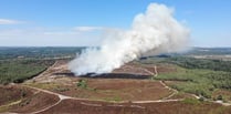 Bonfires not barbecues to blame for wildfire epidemic, says fire chief