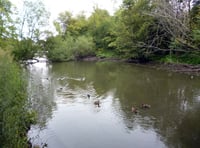 Petition to save Kings Pond in Alton reaches 1,000 signatures