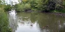 Kings Pond in Alton will not be debated before September