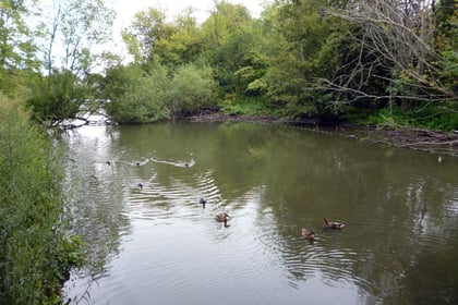 Alton Town Council cancels Kings Pond meeting to do more research