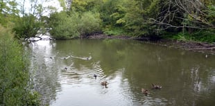 Survey work continuing at Kings Pond in Alton