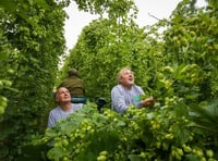 Hogs Back Brewery toasting 30 years in business