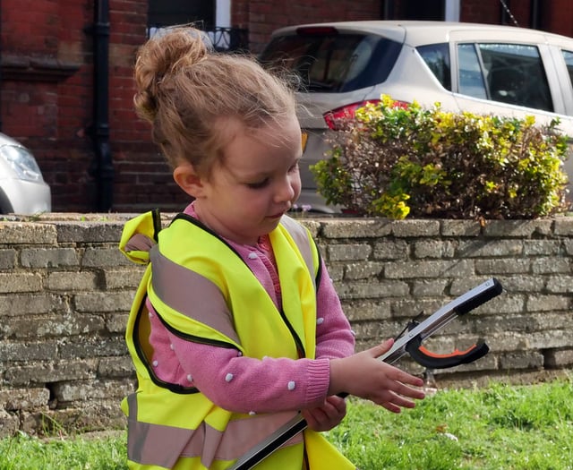 Call for volunteer litter-pickers to join Alton's big Spring Clean