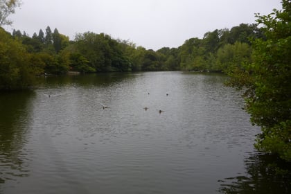 Fears that Alton’s Kings Pond could become a muddy swamp