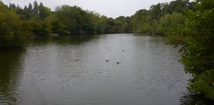 Fears that Alton’s Kings Pond could become a muddy swamp