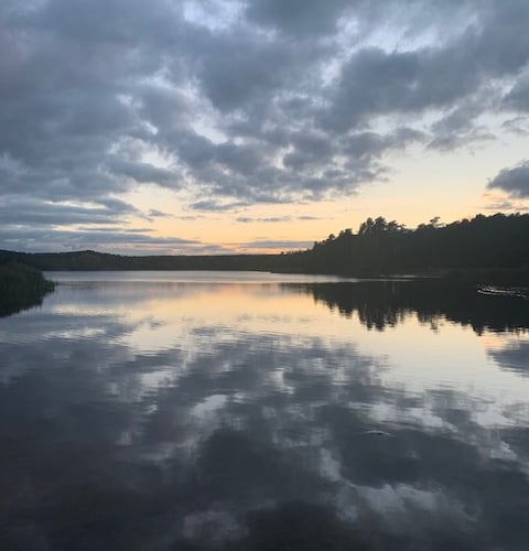 Amazing reflective scenery at Frensham Little Pond seen by Estelle Christmas, from Wrecclesham, whilst out dog walking