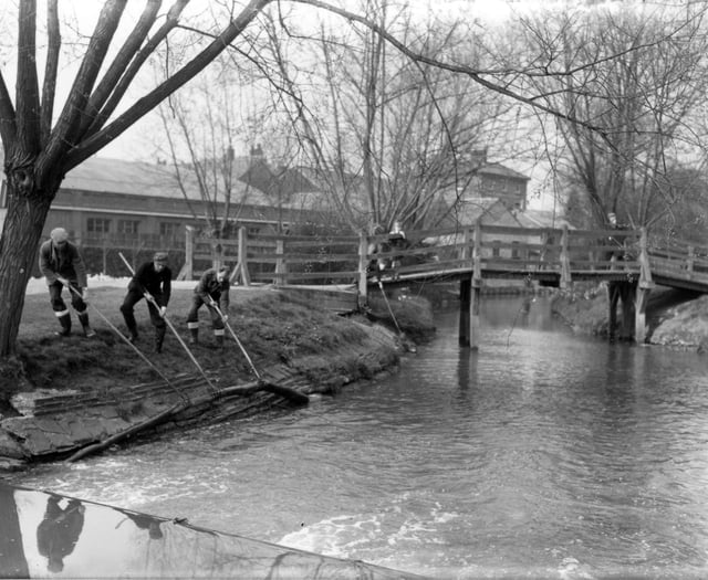 Peeps: Water board clears the River Wey through Gostrey Meadow in 1953