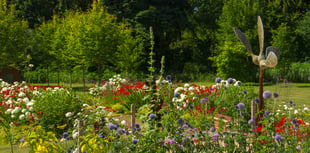 Call for gardeners to open up for Phyllis Tuckwell's Open Gardens