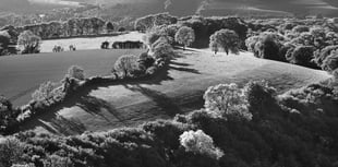 South Downs landscape photography exhibition at Haslemere Museum