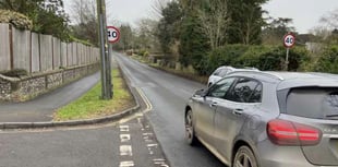 Appeal for councillors in Petersfield to unite on traffic calming plan