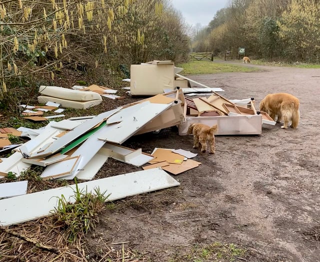 Meon Valley fly-tip is 'the worst I've ever seen', says dog walker