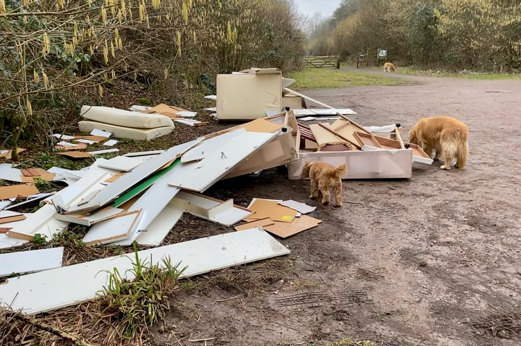 The waste was dumped late last week at the start of the Meon Valley Trail in West Meon