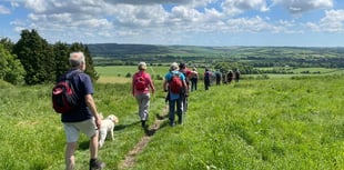 Ramble through Austen country at this year's Alton Walking Festival