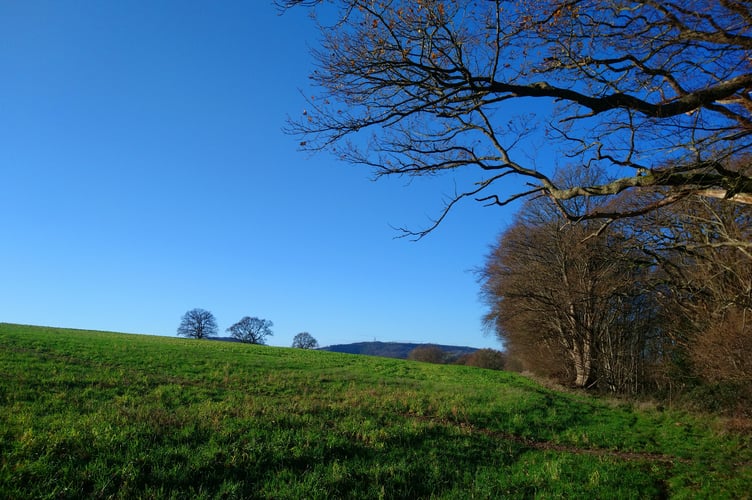 Open countryside near Petersfield