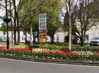 Hands off our flowers: Liphook villagers object to roundabout plans