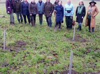 Elizabeth Copse planted at Chawton House to remember Queen