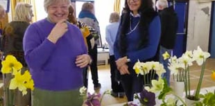 Quality and quantity at Harting Horticultural Society spring show