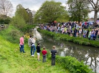 Fowl play as real ducks almost sabotage Great Farnham Duck Race 2023!