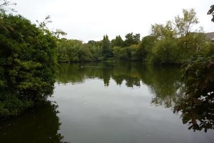 Save Kings Pond founder Andrew Kuttner says ‘vote Tory’ to save it