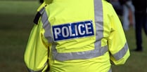 Teenager arrested after alleged assault at Hale Carnival 