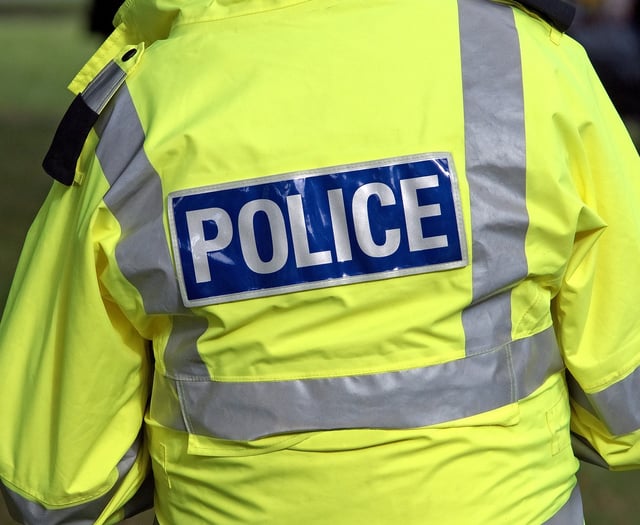 Teenager arrested after alleged assault at Hale Carnival 