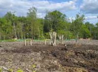 More than 200 trees on Havant Thicket Reservoir site are replanted