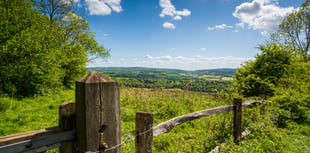 Jeremy Hunt: Join my campaign to make the Surrey Hills a national park