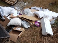 Director fined after employees fly-tipped in West Worldham