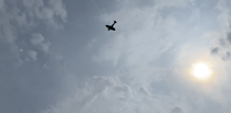 Video: Spitfire and RAF helicopter fly-past opens 50th Frensham Fayre