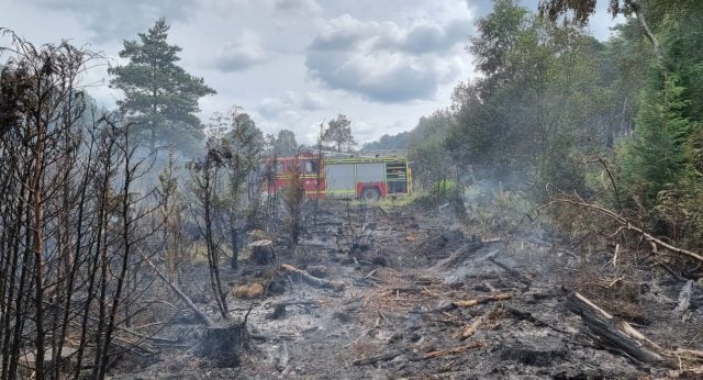 Hampshire firefighters warn people not to barbecue on heathland