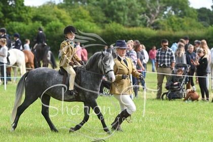 Fawley Horse and Dog Show returns this Sunday