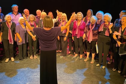 Perfect harmony from Phoenix Community Choir in Bordon summer show