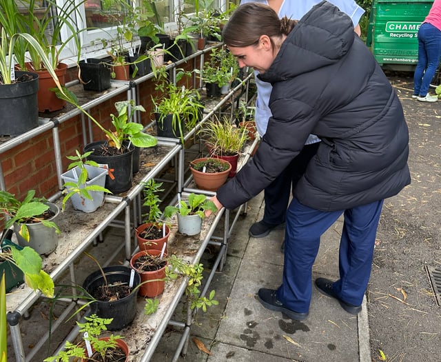 Phyllis Tuckwell Hospice's last plant sale holds special memories