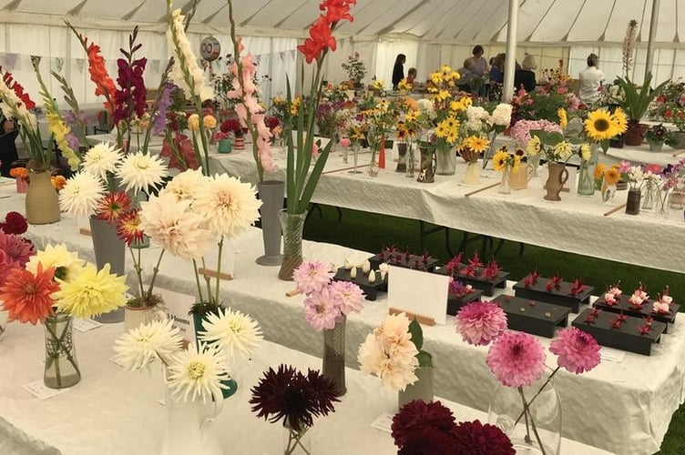 Steep Flower Show