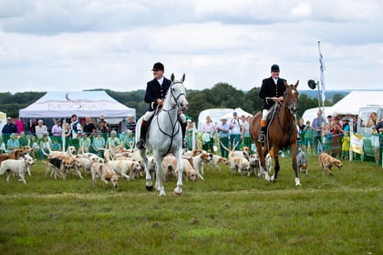 Join a celebration of Hampshire's countryside and sports