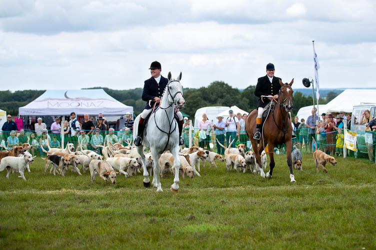 Hounds