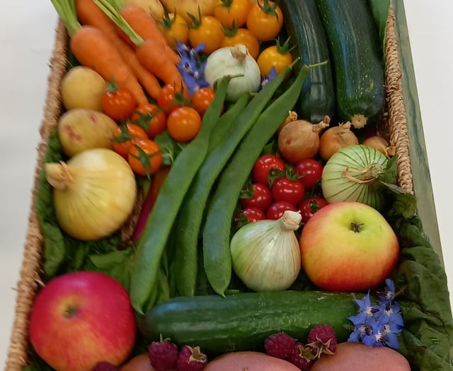 Growing reputation: gardeners impress at Froxfield show