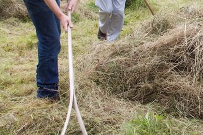 Make hay at Petersfield Community Orchard