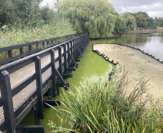 Calls for design rethink as new islands led to Heath Pond stink 