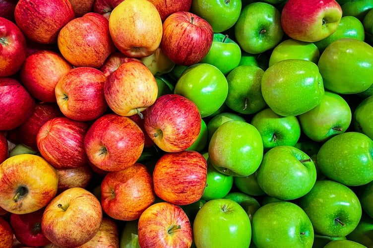 Foothills Canada Granary Road Fruits Images & Pictures Red Apples Green Apples Apple Images & Photos Farmers Market Plant Food Images & Pictures Apple Images & Photos HD Wallpapers