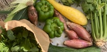 Weather can’t stop the chemical-free growing at Farnham Community Farm