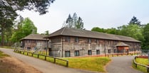 PGL hit with £1m fine after children hurt at Hindhead adventure centre