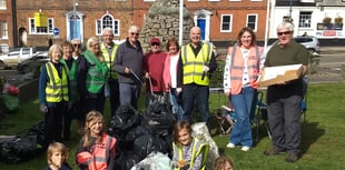 Alton autumn litter pick improved after takeaway mess